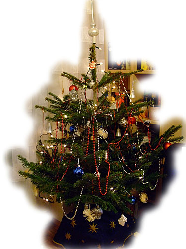 Unser Weihnachtsbaum 2007
