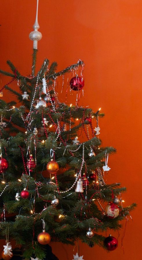 Unser Weihnachtsbaum 2010 Unser Weihnachtsbaum 2010